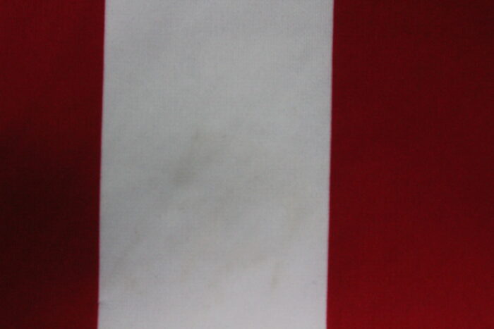 Chivas Campeonisimo Jersey 2007-2008 LARGE - Image 8